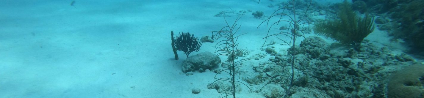 Newsletter NDE Offshore Winter 2026